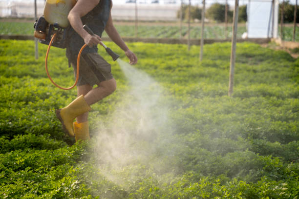 Best Best Pest Control Companies  in Picture Rocks, AZ