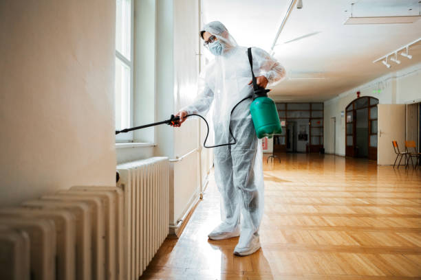 Flea Control Services in Picture Rocks, AZ